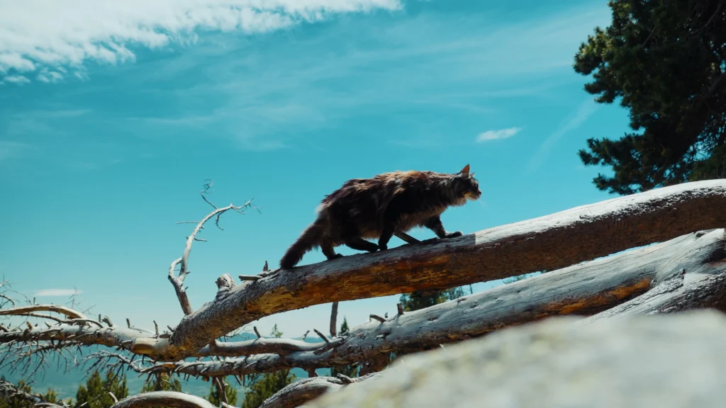 Natura Diet - Behind the Scenes