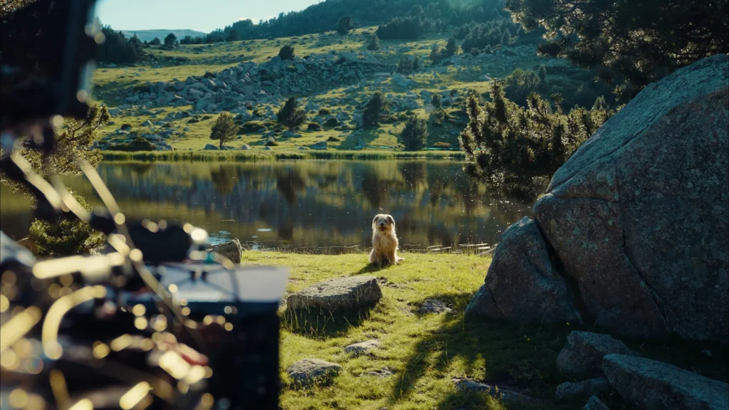 Natura Diet - Our Story