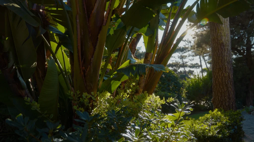 Cascais Senhora da Guia - Boutique Hotel