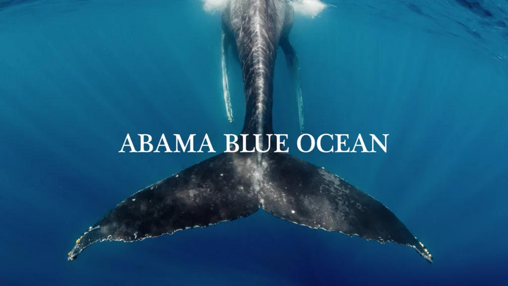 Abama Blue Ocean - Book Trailer